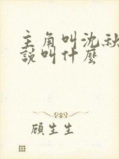 主角叫沈秋的小说叫什么