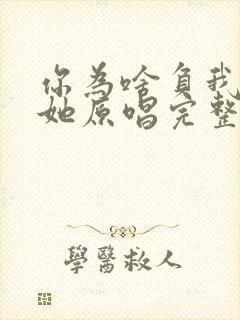 你为啥负我不负她原唱完整版封面