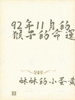 92年11月的猴子的命运如何封面