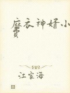 麻衣神婿小说免费