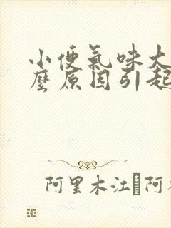 小便气味大是什么原因引起的