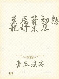 叶辰萧初然上门龙婿叶辰