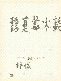 听有声小说免费的是哪个软件