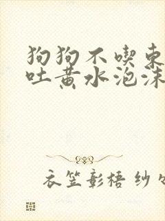 狗狗不吃东西呕吐黄水泡沫粘液