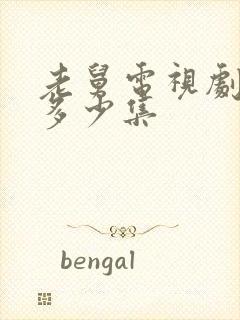 老舅电视剧全集多少集