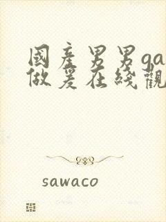 国产男男gay做爰在线观看