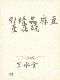 91精品麻豆国产在线封面