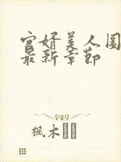 官婿美人图安江最新章节封面