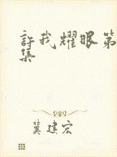 许我耀眼第十七集