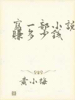 写一部小说可以赚多少钱