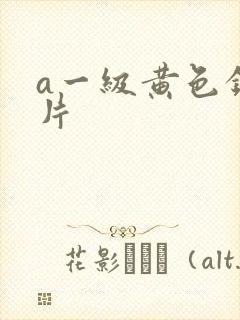 a一级黄色录像片封面