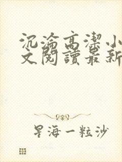 沉沦高洁小说全文阅读最新章节更新封面