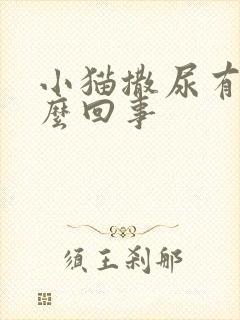 小猫撒尿有血怎么回事