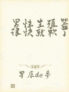 男性生殖器勃起很快就软了