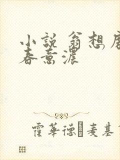 小说 翁想房中春意浓