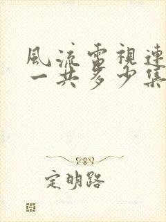 风流电视连续剧一共多少集