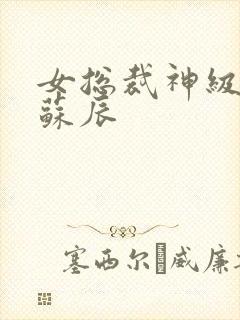 女总裁神级保镖苏辰