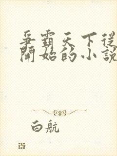 争霸天下从赘婿开始的小说