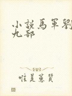 小说马军刘艳第九部封面