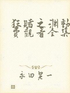 狂赌之渊动漫免费观看全集完整版