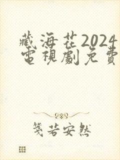 藏海花2024电视剧免费观看完整版封面