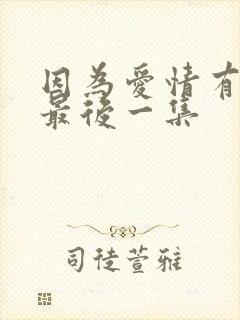 因为爱情有多美最后一集