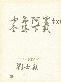 少年阿宾txt全集下载封面