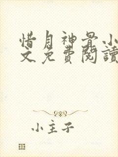 惜月神骨小说全文免费阅读封面