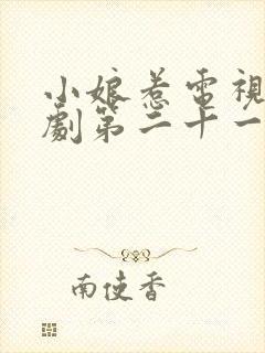 小娘惹电视连续剧第二十一集