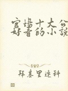 官场十大公认最好看的小说