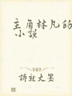 主角林凡的小说 小说