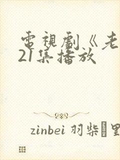 电视剧《老舅》21集播放封面