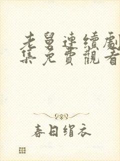 老舅连续剧40集免费观看