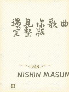 遇见你歌曲原唱完整版封面