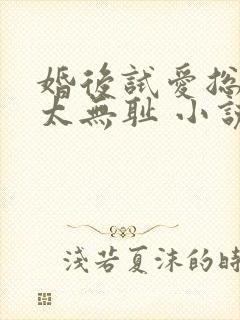 婚后试爱总裁别太无耻 小说