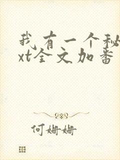 我有一个秘密txt全文加番外