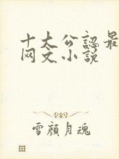 十大公认最好看网文小说