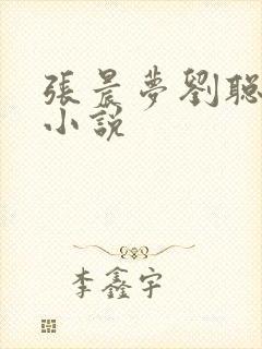 张晨梦刘聪赵兰小说封面