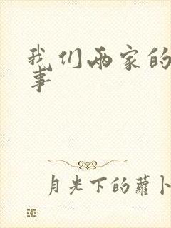 我们两家的荒唐事封面