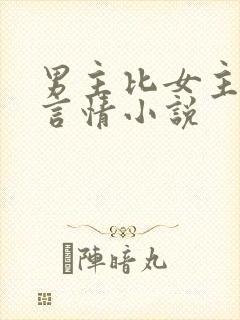 男主比女主大的言情小说封面