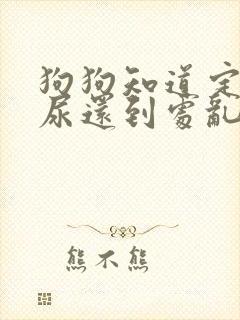 狗狗知道定点拉尿还到处乱拉