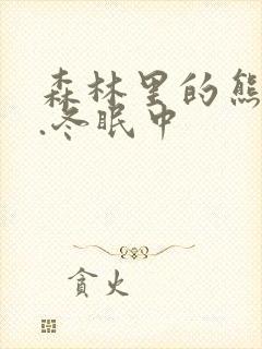 森林里的熊先生.冬眠中