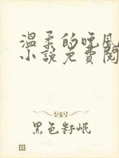 温柔的晚风老佟小说免费阅读