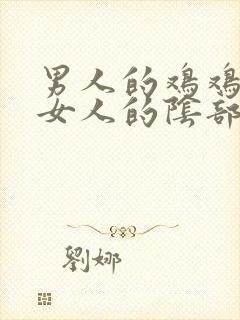 男人的鸡鸡插进女人的阴部