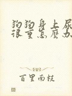 狗狗身上尿骚味很重怎么办