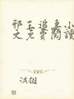 邪王追妻小说全文免费阅读无弹窗