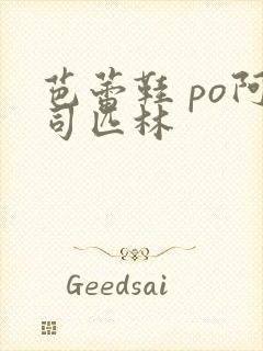 芭蕾鞋 po阿司匹林