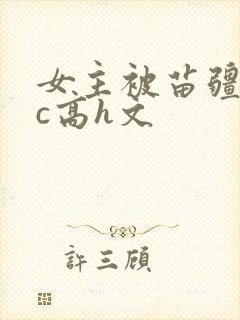 女主被苗疆男主c高h文