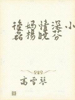 后妈情深小说王磊杨晓芬封面