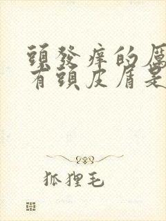 头发痒的厉害还有头皮屑是怎么回事